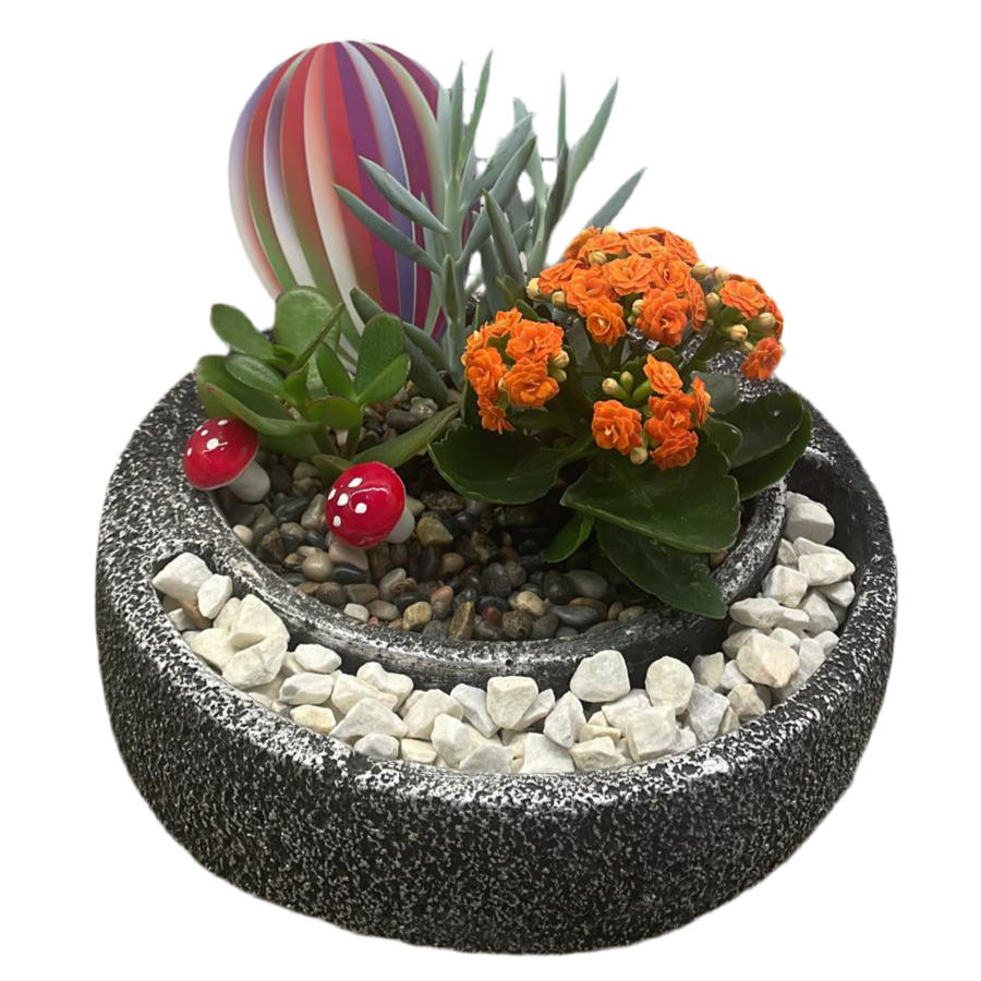 Saksıda Turuncu Kalanchoe ve Sukulent Aranjmanı