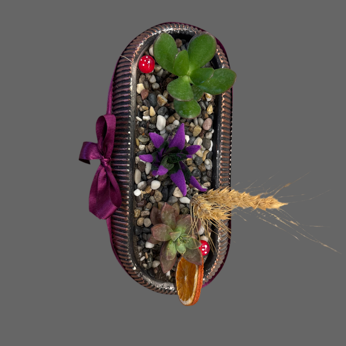 Oval Saksıda Sukulent Aranjmanı