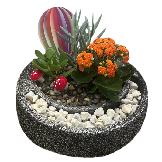 Saksıda Turuncu Kalanchoe ve Sukulent Aranjmanı