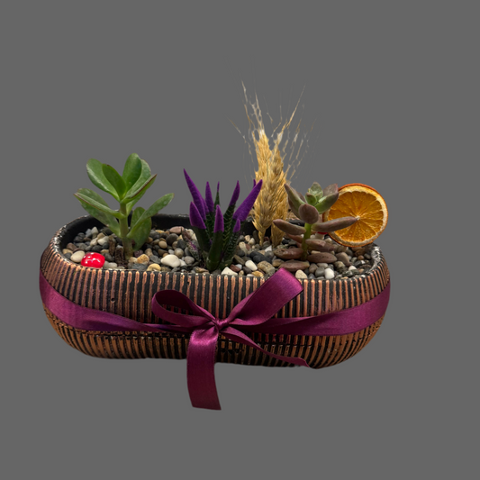 Oval Saksıda Sukulent Aranjmanı